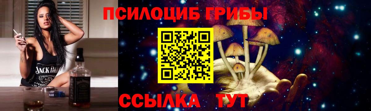Галлюциногенные грибы Psilocybine cubensis  Псилоцибиновые грибы мухоморы  Миасс  Вход с VPN 